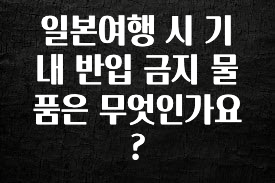 이건 “참을 수 없다” 일본여행 시 기내 반입 금지 물품은 무엇인가요? 추천한 이유입니다