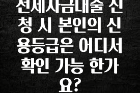 감사를 담은 전세자금대출 신청 시 본인의 신용등급은 어디서 확인 가능 한가요? 리뷰 해보겠습니다