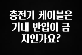 일단 저장해야하는 충전기 케이블은 기내 반입이 금지인가요? 리뷰 해보겠습니다