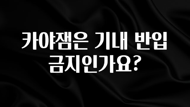 인플루언서가 공개한 카야잼은 기내 반입 금지인가요? 30초면 확인 가능합니다