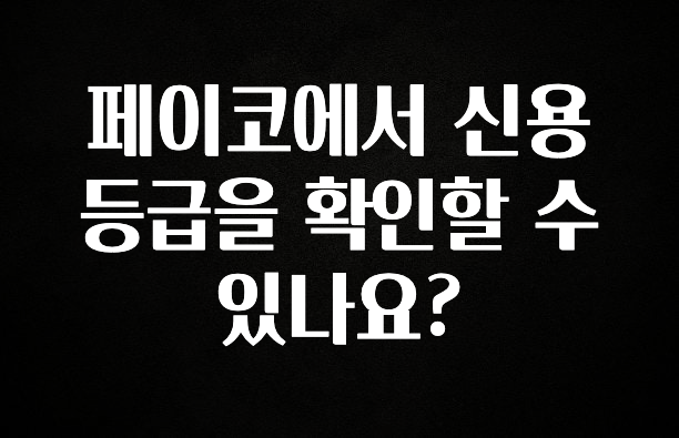 꿀팁이라고? 페이코에서 신용등급을 확인할 수 있나요? 알려드릴게요