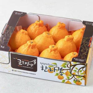 최다 검색한 한라봉 꼭 알아두세요