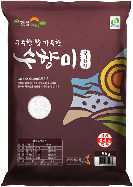 클릭필수 수향미 무조건 확인