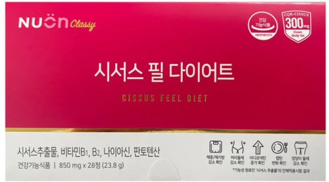 찐친이랑 확인하세요 시서스 요약정리