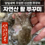 바로 확인가능한 알쭈꾸미 추천한 이유입니다