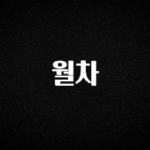 인플루언서가 공개한 월차 잠깐 확인해보세요