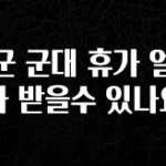 요즘 찰떡인 육군 군대 휴가 얼마나 받을수 있나요 좋은 정보