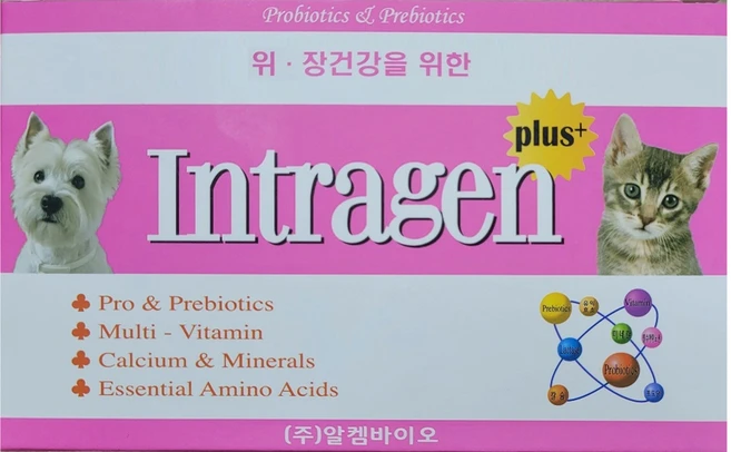 모두가 찾는 강아지유산균 실간 리뷰