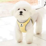 인기좋은 이유 강아지하네스 잠깐 확인해보세요