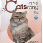 찐추천 이유 고양이사료 잠깐 확인해보세요