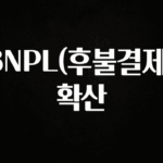 이것만 보고가기 BNPL(후불결제) 확산 놓치지마세요