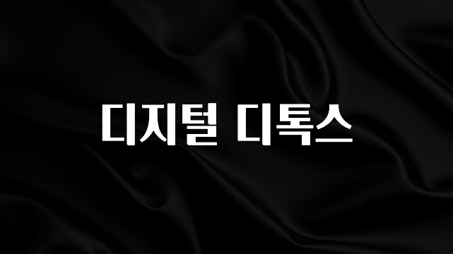 유튜브에서 난리난 정보 디지털 디톡스 소개합니다