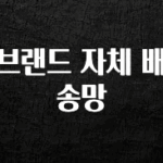 유튜브에서 난리난 정보 브랜드 자체 배송망 주목하고 계십니다