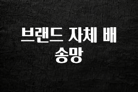 유튜브에서 난리난 정보 브랜드 자체 배송망 주목하고 계십니다